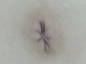 300人のへそ 2　サンプル画像15